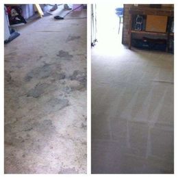 Stain Busters Carpet Cleaning & Pest Control gallery image 2
