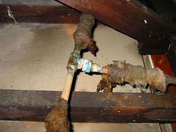 Your Building Inspection gallery image 24