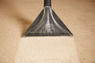 All Seasons Carpet & Upholstery Cleaning gallery image 12