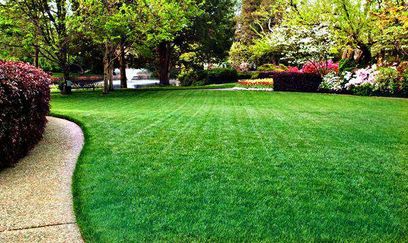 Trim Lawn Services gallery image 2
