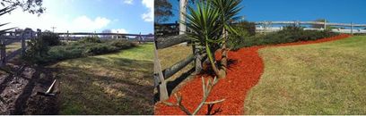 Illawarra Gardening Landscapes gallery image 1