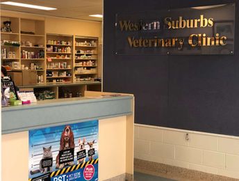 Western Suburbs Veterinary Clinic gallery image 1