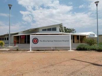 Alice Springs Veterinary Hospital gallery image 2
