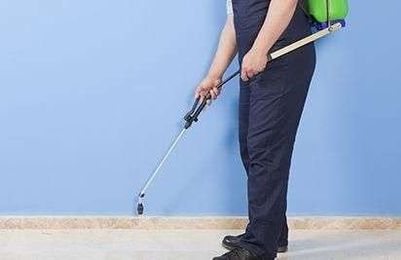 Dial a Carpet Cleaner & Pest Control gallery image 10