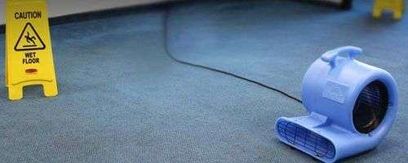 Wollongong Carpet Cleaning gallery image 5