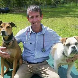 Golf Course Veterinary Hospital & Best Mates Pet Training gallery image 7