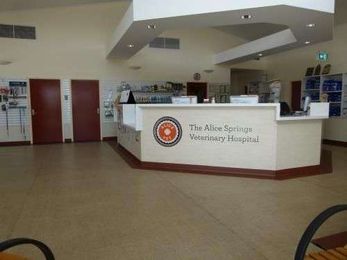 Alice Springs Veterinary Hospital gallery image 3