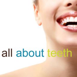 All About Teeth gallery image 6