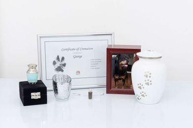 Little Treasures Pet Cremation gallery image 3