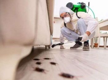 Holloway & Co Carpet Cleaning & Pest Control gallery image 14