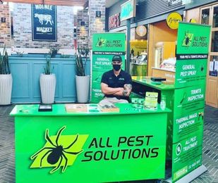 All Pest Solutions Coffs Coast gallery image 6