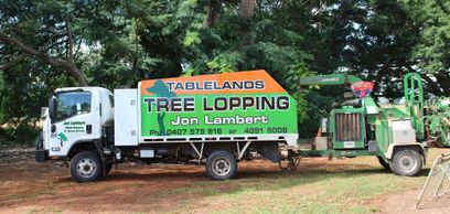 Tablelands Tree Lopping & Stump Grinding gallery image 8