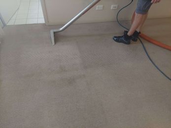 Premium Carpet Cleaning gallery image 1