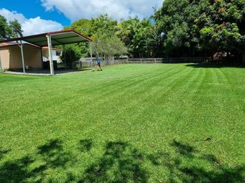 Total Lawn Care Mid North Coast gallery image 6