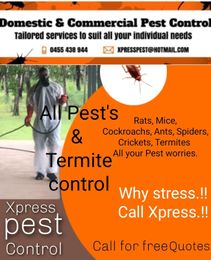 Xpress Pest Control Darwin gallery image 10