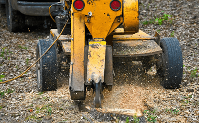 Affordable Stump Grinding gallery image 23