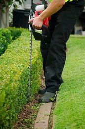 Fox Mowing & Gardening Bundaberg gallery image 23