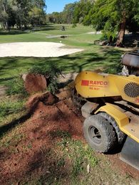 Steve's Stump Grinding & Tree Services gallery image 14