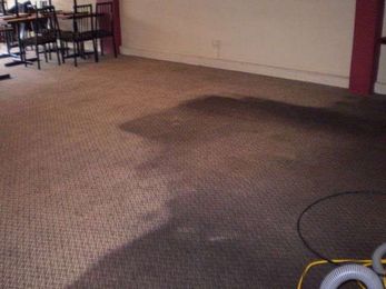 Drymaster Carpet Cleaning Gold Coast gallery image 17