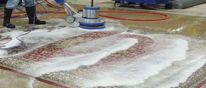 Drymaster Carpet Cleaning Gold Coast gallery image 15