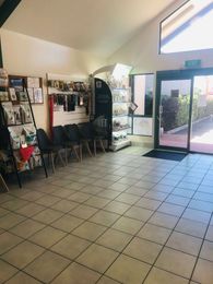 Palms Vets–Bayside Veterinary Clinic gallery image 2