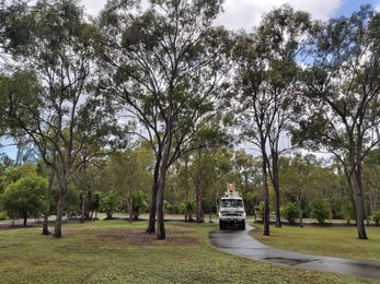 Budget Tree Service QLD gallery image 3
