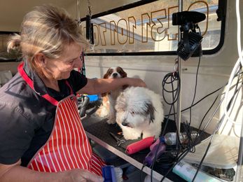 Prestige Puppy Mobile Hydrobath & Grooming gallery image 18