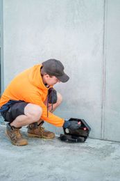 Affordable Pest Control Shoalhaven gallery image 2