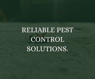 Optimum Pest Services gallery image 1