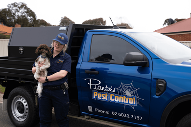 Pianto's Pest Control gallery image 2