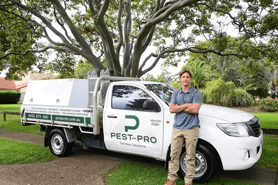 Pest Pro Termite Solutions gallery image 3