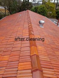 Absolute Pressure Cleaning gallery image 3