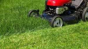 Mad About Mowing and Maintenance gallery image 2