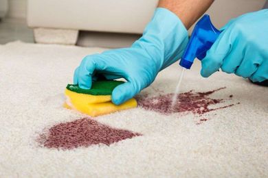 TCM Carpet & Cleaning gallery image 1