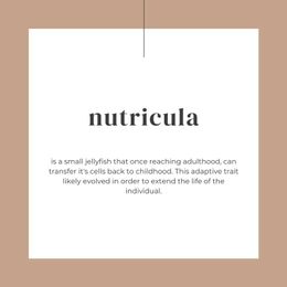 Nutricula Psychology gallery image 2