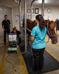 Townsville Veterinary Clinic gallery image 1