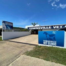 Townsville Veterinary Clinic gallery image 2
