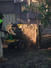 Eco Friendly Tree Services gallery image 5