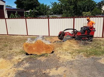 A1 Tree Service gallery image 10