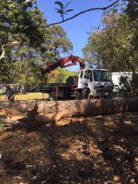 Summerland Tree Services gallery image 3