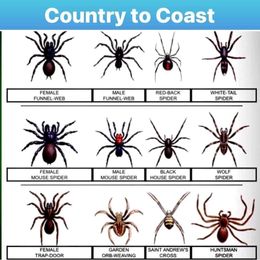 Country to Coast Pest Control gallery image 3