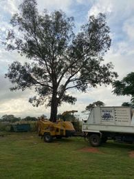 Mudgee Tree Services gallery image 3