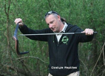Southern Highlands Snake Catchers gallery image 7