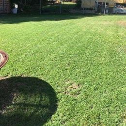 The Mowing & Maintenance Guys gallery image 2