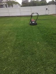 The Mowing & Maintenance Guys gallery image 1