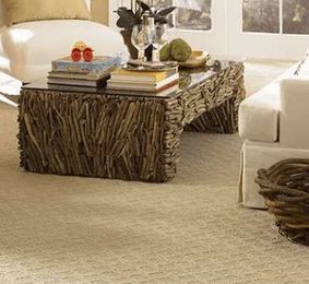 Frontline Carpet Cleaning gallery image 8