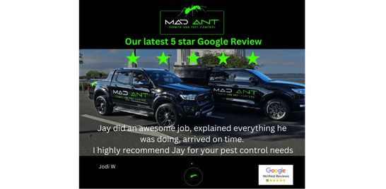 Our Latest 5 Star Google Review