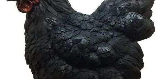 New instore!! Black Chicken Garden Statue $40 - delivery available
