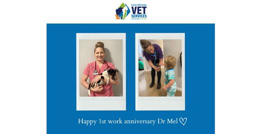 Happy 1 year working anniversary to Dr Mel!