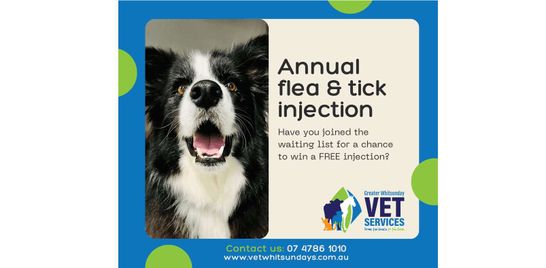 NEW injectable flea & tick prevention coming soon!